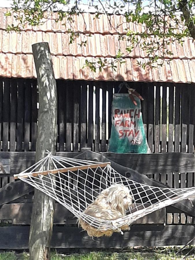 Ranch Farm Stay ราโควิซา ภายนอก รูปภาพ